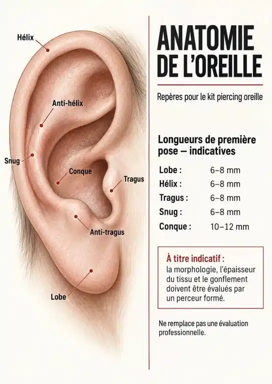 Schéma des zones de l’oreille et des longueurs indicatives pour un kit piercing oreille