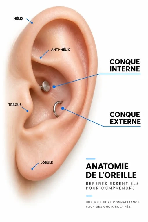 Schéma du piercing conch interne et externe dans la conque de l’oreille